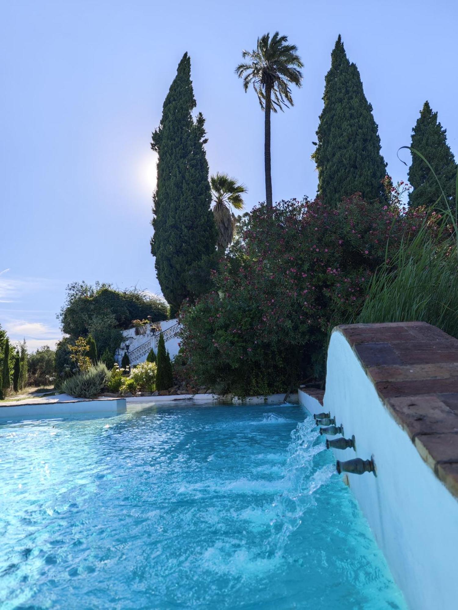 Finca La Favorita- Suites (Adults Only) Constantina Dış mekan fotoğraf