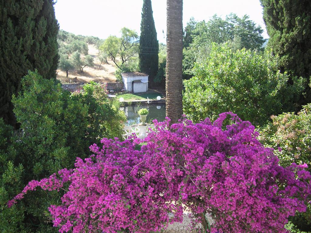 Finca La Favorita- Suites (Adults Only) Constantina Dış mekan fotoğraf