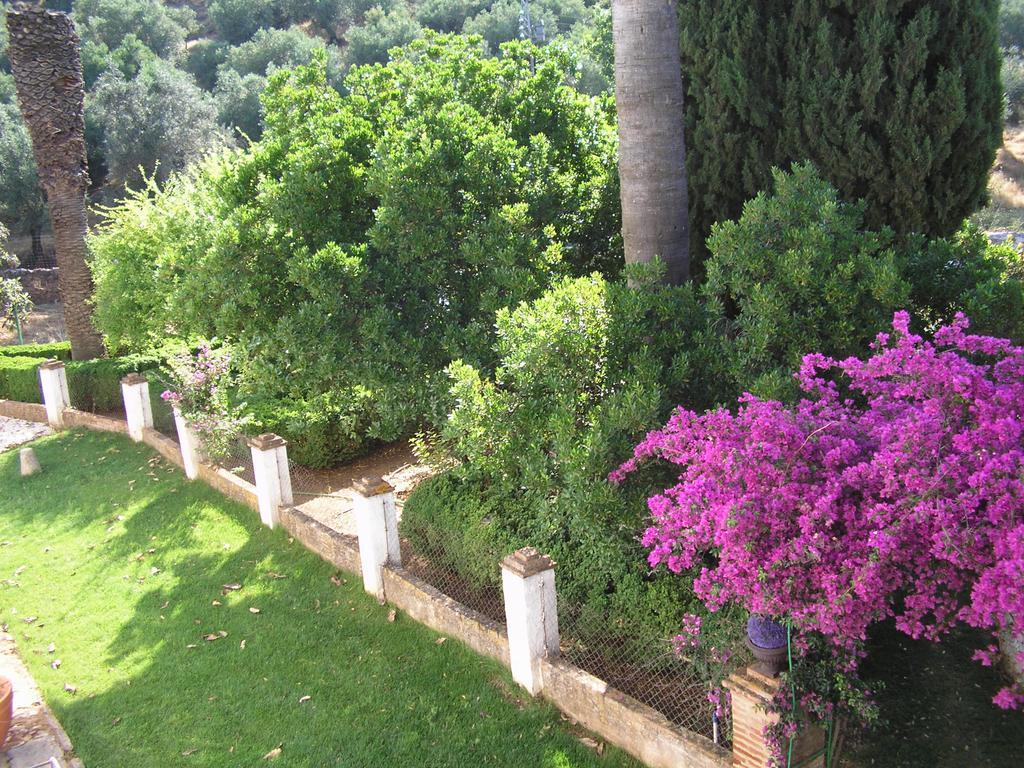 Finca La Favorita- Suites (Adults Only) Constantina Dış mekan fotoğraf