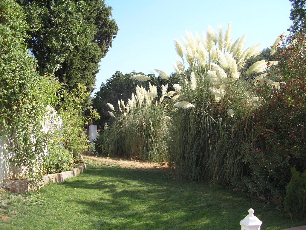 Finca La Favorita- Suites (Adults Only) Constantina Dış mekan fotoğraf