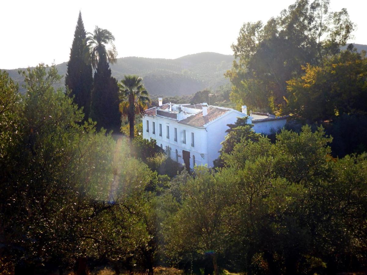 Finca La Favorita- Suites (Adults Only) Constantina Dış mekan fotoğraf