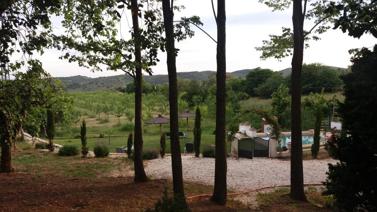 Finca La Favorita- Suites (Adults Only) Constantina Dış mekan fotoğraf