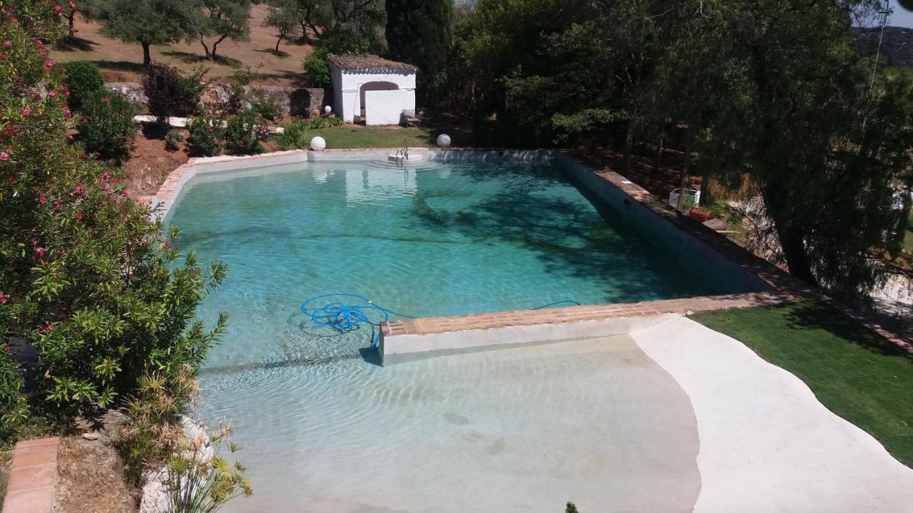 Finca La Favorita- Suites (Adults Only) Constantina Dış mekan fotoğraf